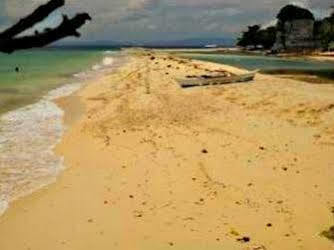 Pamilacan Island Tourist Inn And Restaurant Bohol Luaran gambar