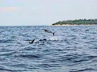 Pamilacan Island Tourist Inn And Restaurant Bohol Luaran gambar